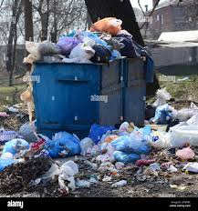 Best Dumpster Rental Services  in Demopolis, AL