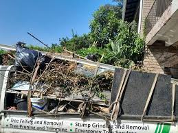 Reliable Demopolis, AL Junk Removal Services Solutions